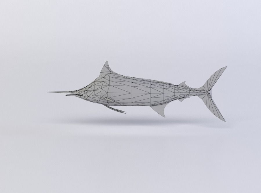BLUE MARLIN 3D MODEL Low-poly 3D model_3