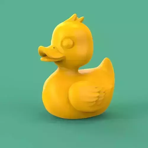 duck pato
