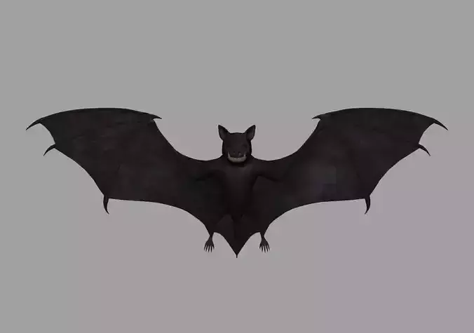 Bat-Rigged