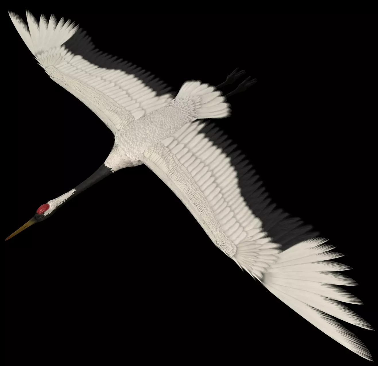 Crane 3D model