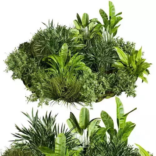 plant vol 740 - outdoor - garden - leaf