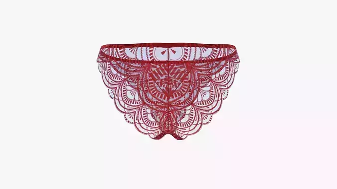 Lace Panties SS80