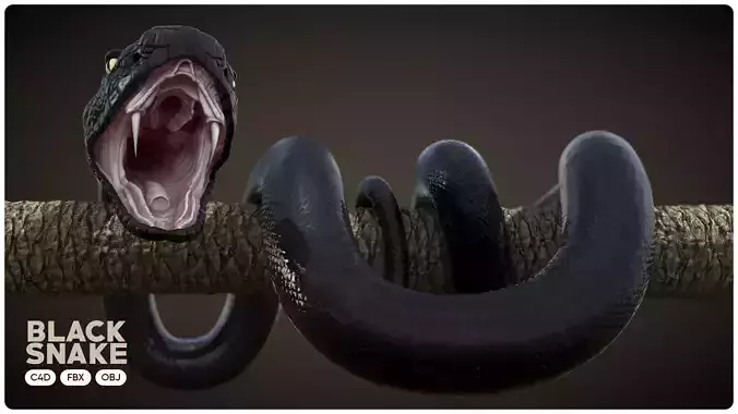 Realistic Black Snake