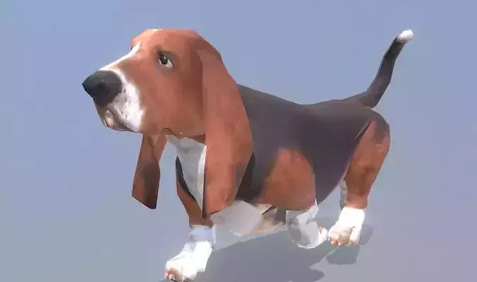 HOUND DOG TROT WALKING Fbx Pbr Animated