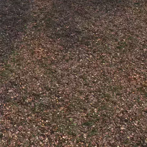 Autumn foliage in the forest