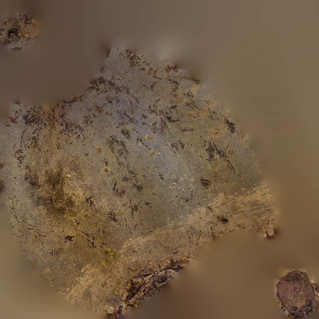 Beetroots two potatoes 3D model_13