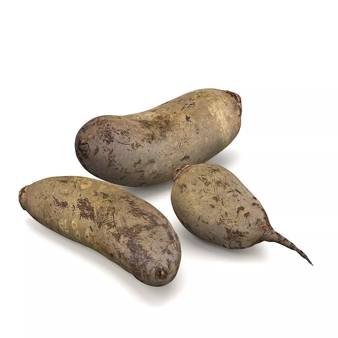 Beetroots two potatoes 3D model_0