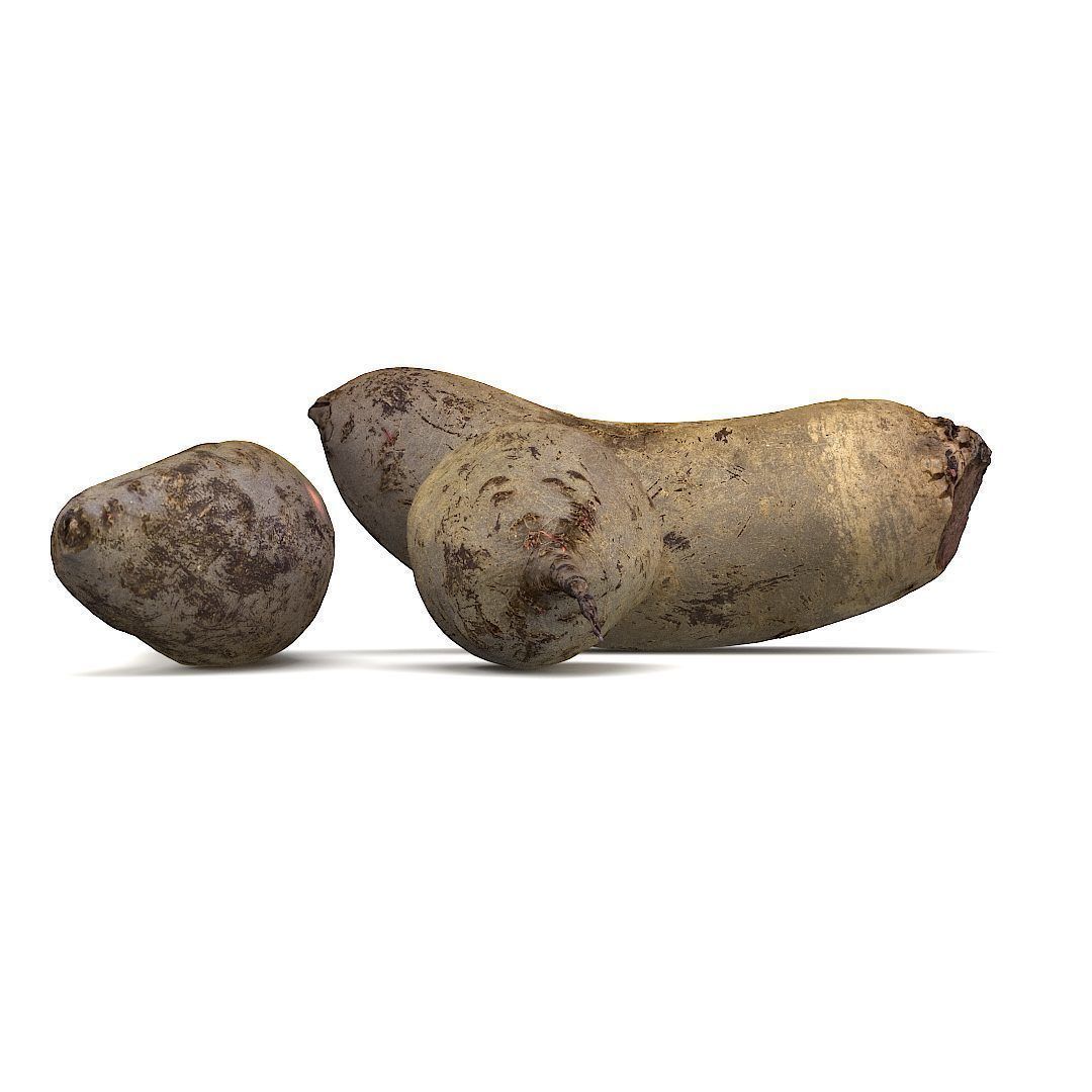 Beetroots two potatoes 3D model_23