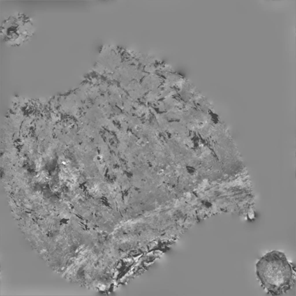 Beetroots two potatoes 3D model_15