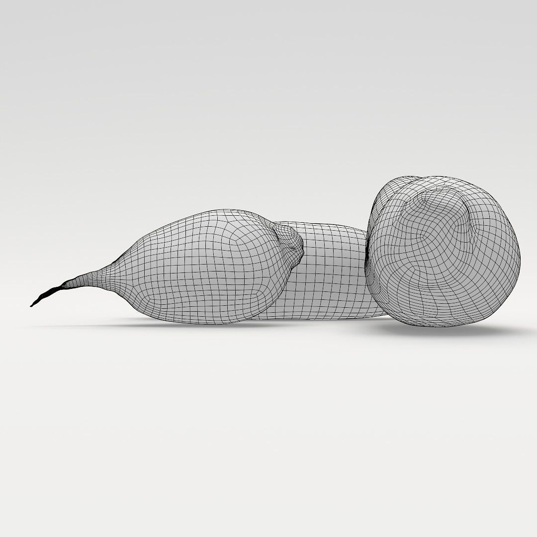 Beetroots two potatoes 3D model_4