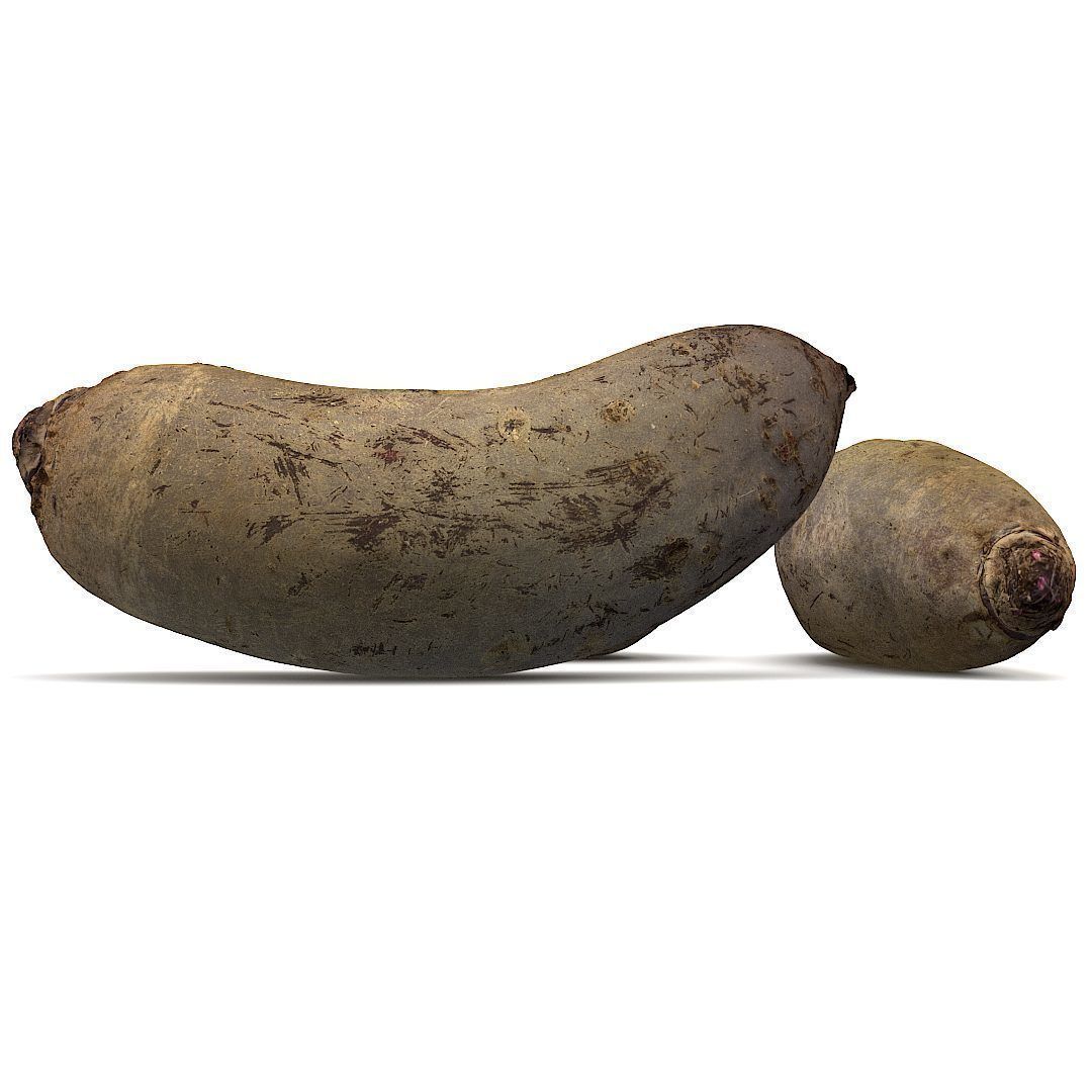 Beetroots two potatoes 3D model_21