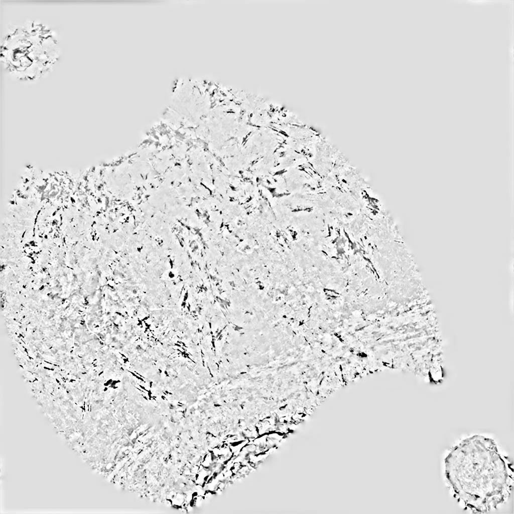 Beetroots two potatoes 3D model_14