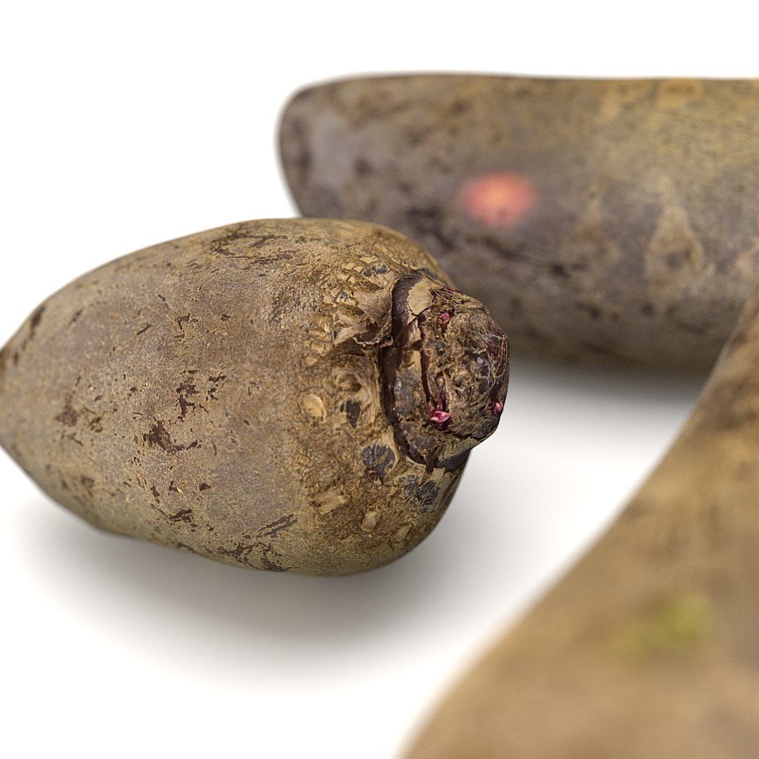 Beetroots two potatoes 3D model_2