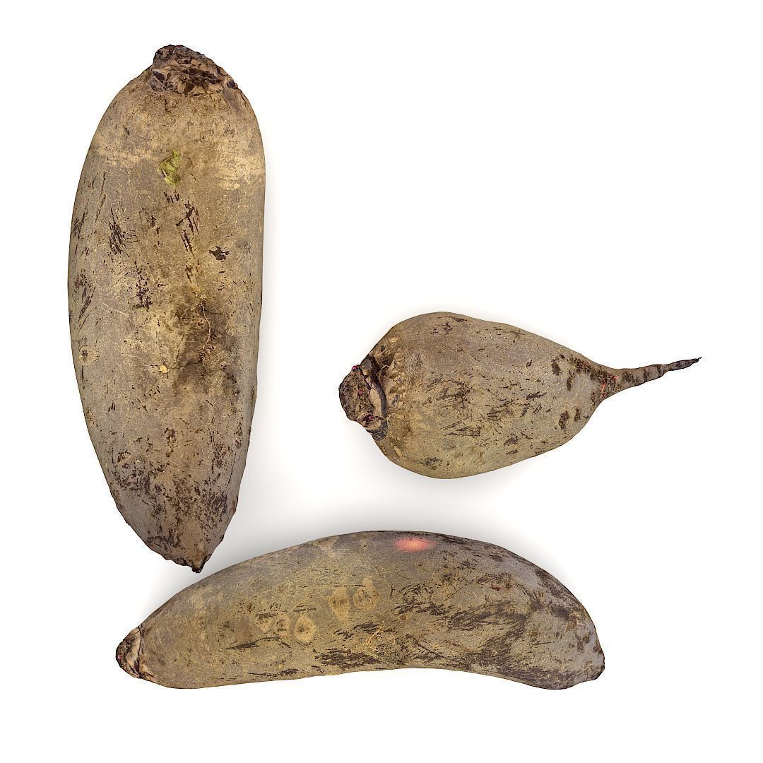 Beetroots two potatoes 3D model_11