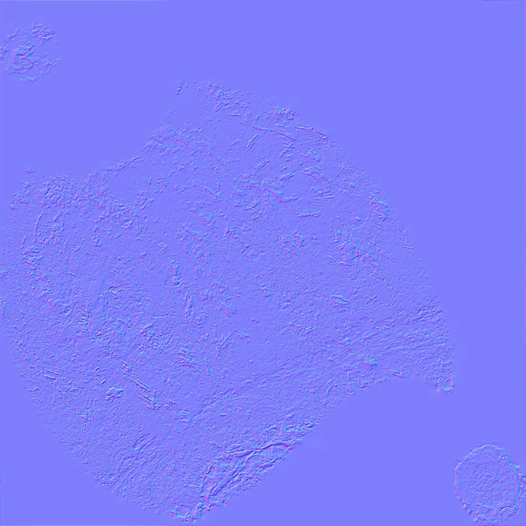 Beetroots two potatoes 3D model_16