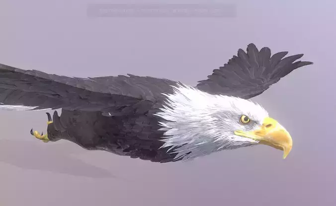 GOLD EAGLE GLINDING NORMALY Pbr Fbx Animated