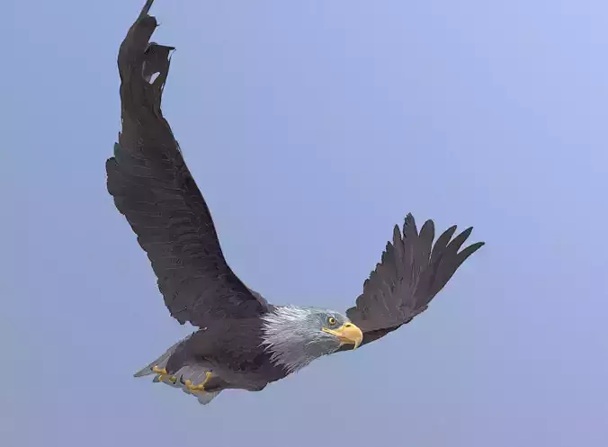 GOLD EAGLE GLINDING H - VELOCITY Pbr Fbx Animated