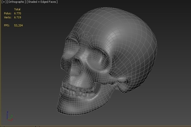Skull 3D model Low Poly Low-poly 3D model_6