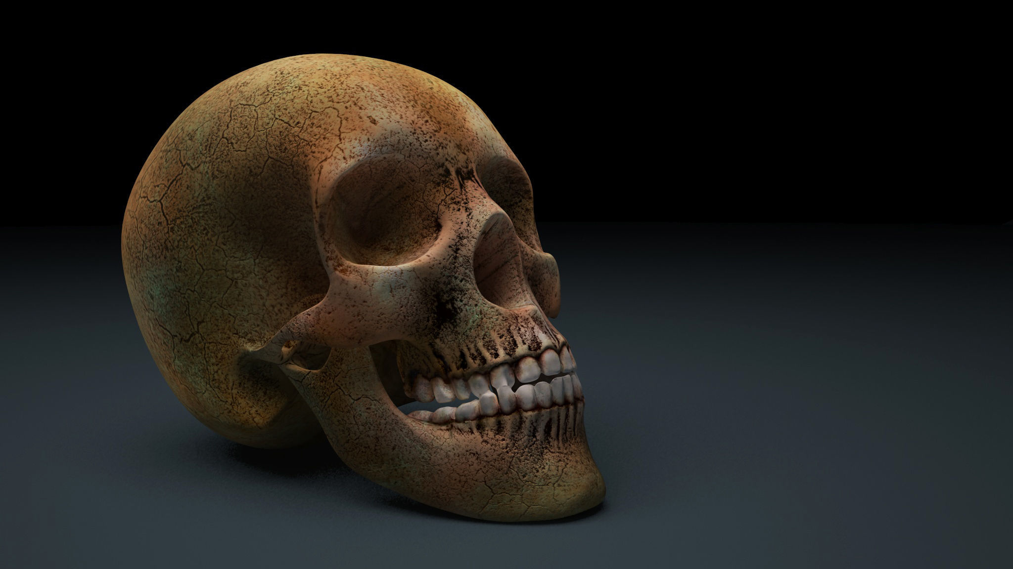 Skull 3D model Low Poly Low-poly 3D model_2