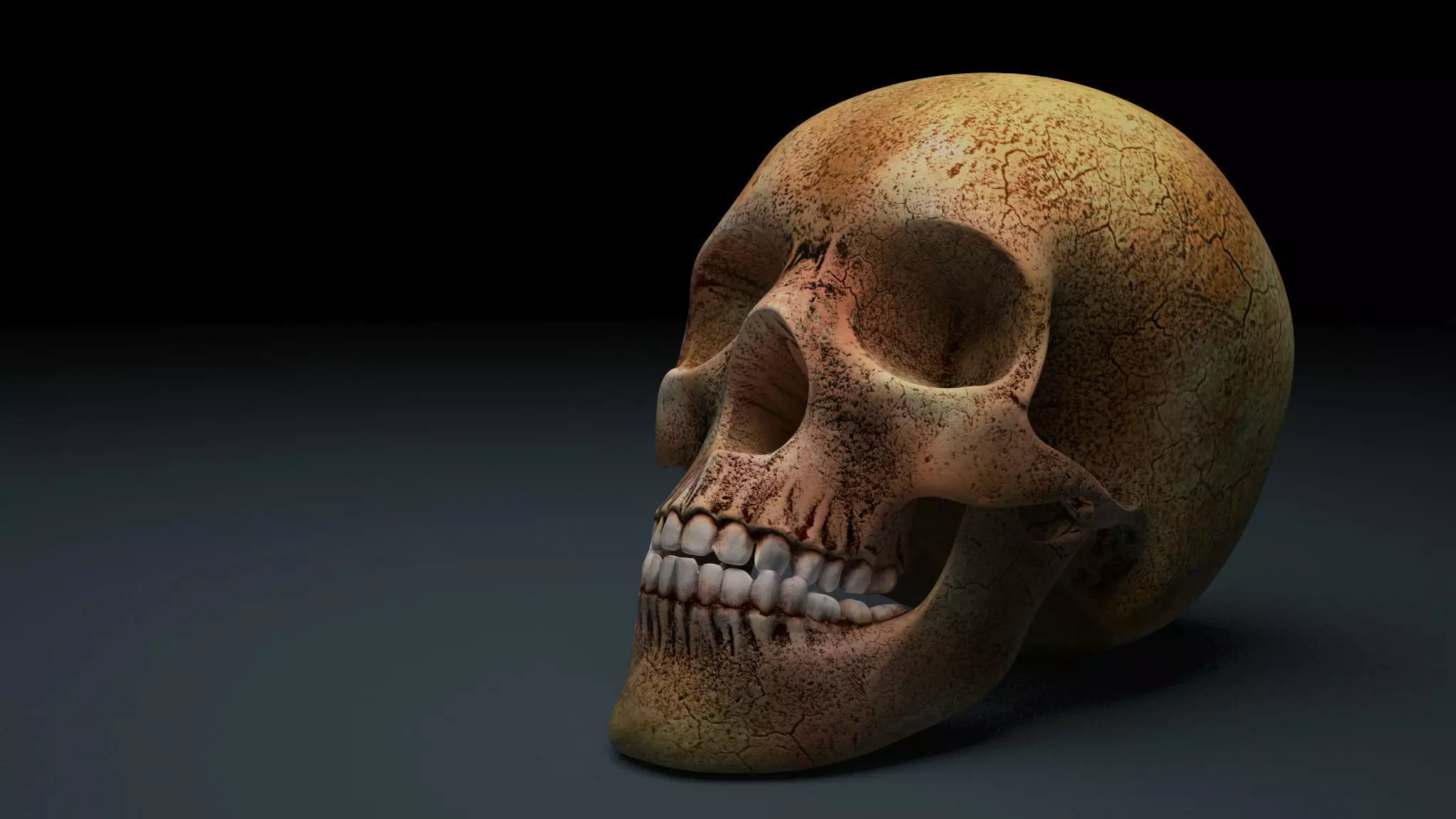 Skull 3D model Low Poly Low-poly 3D model_0