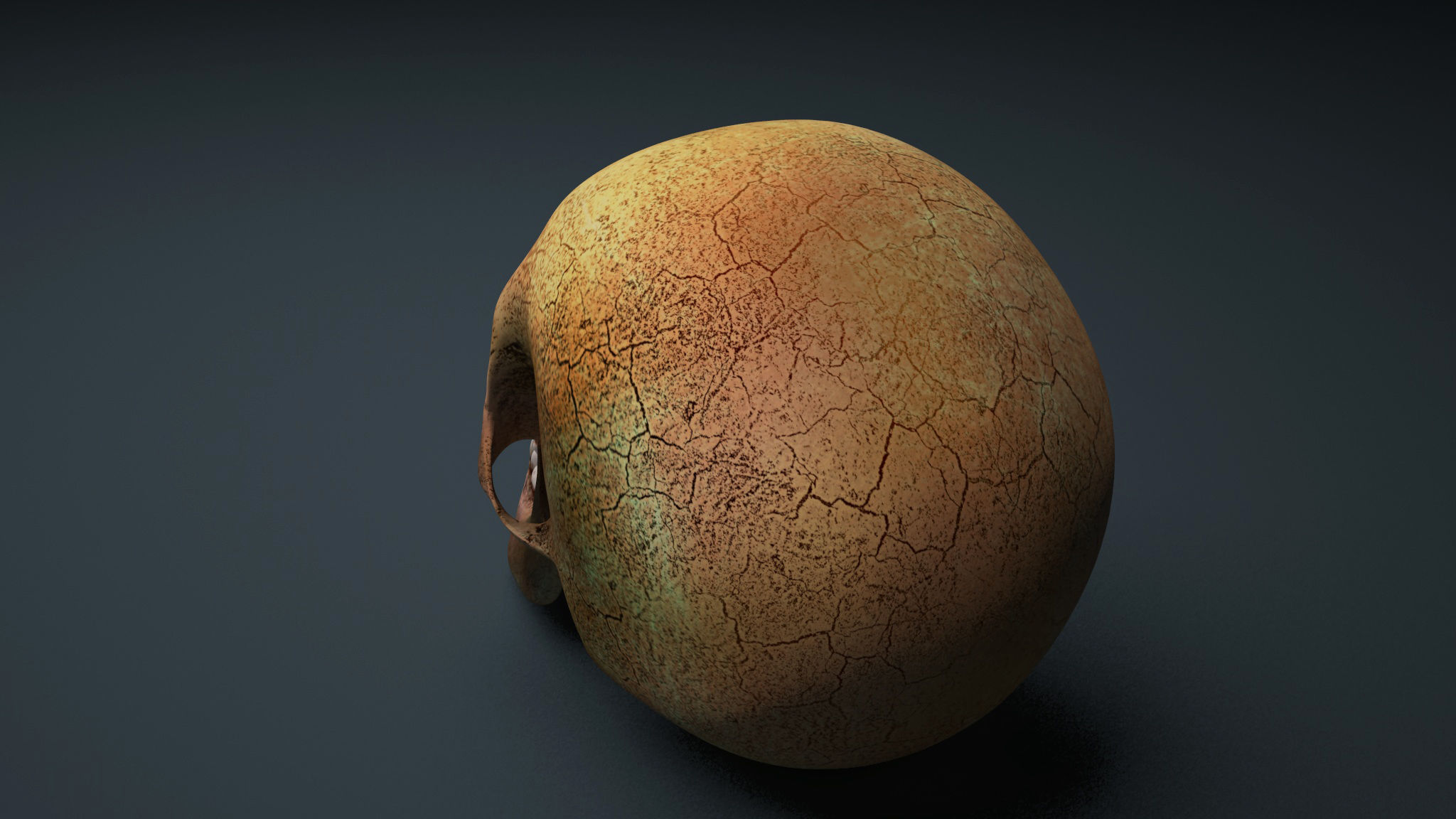 Skull 3D model Low Poly Low-poly 3D model_3