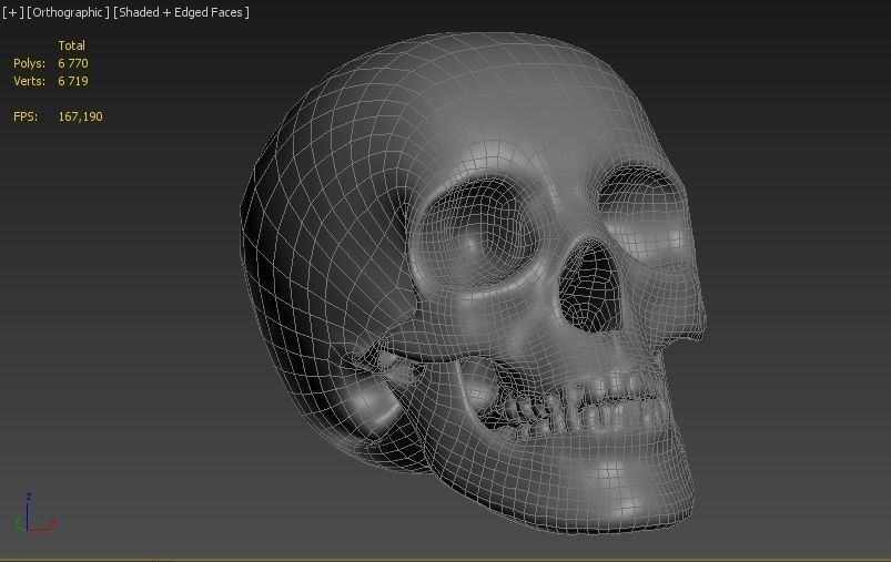 Skull 3D model Low Poly Low-poly 3D model_5