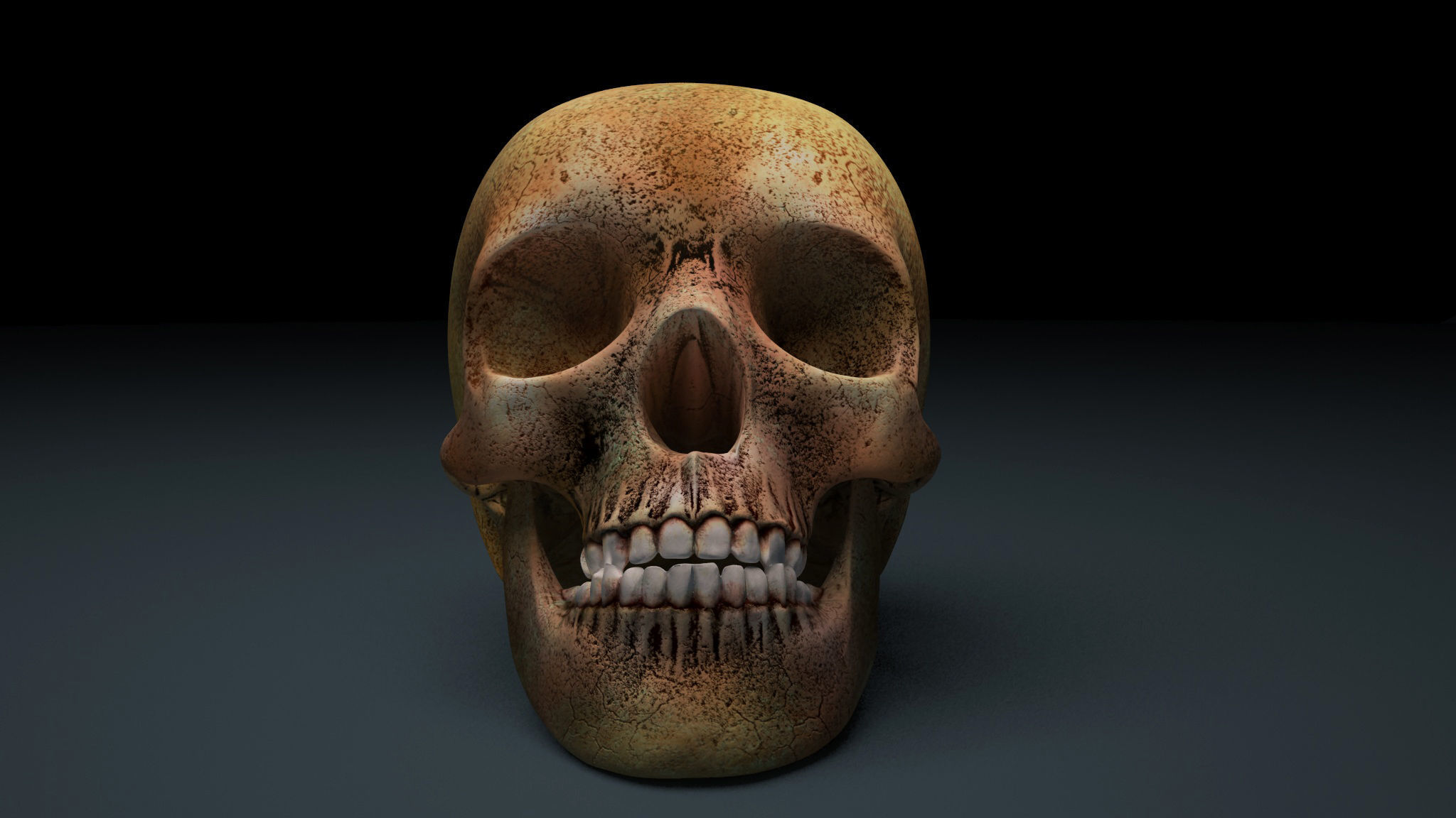 Skull 3D model Low Poly Low-poly 3D model_1