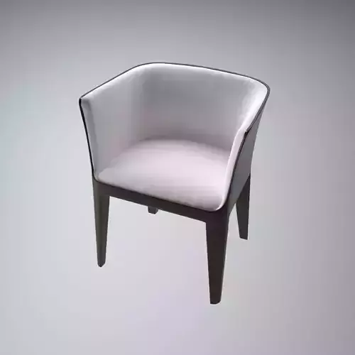 Giorgetti Chair