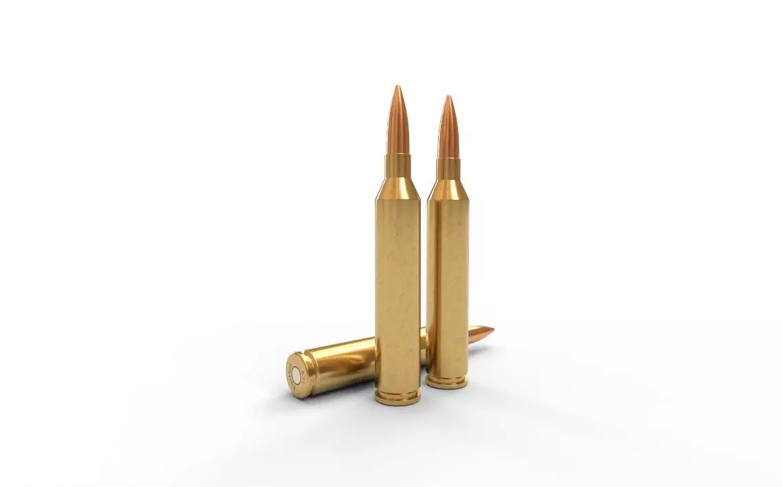 671 Blackbird Ammo Low-poly 3D model