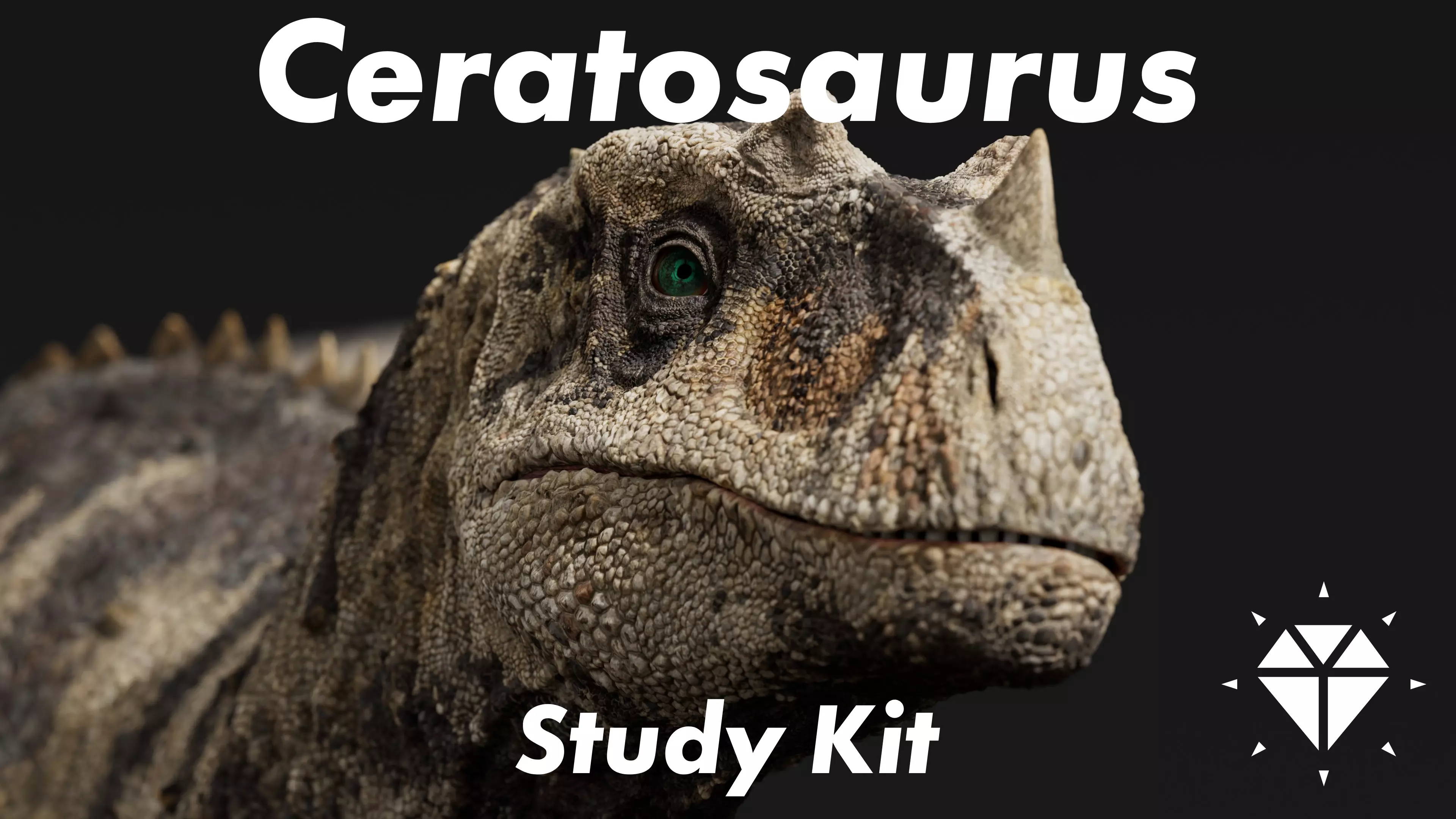 Ceratosaurus - Rigged Dinosaur - Study Kit 3D model