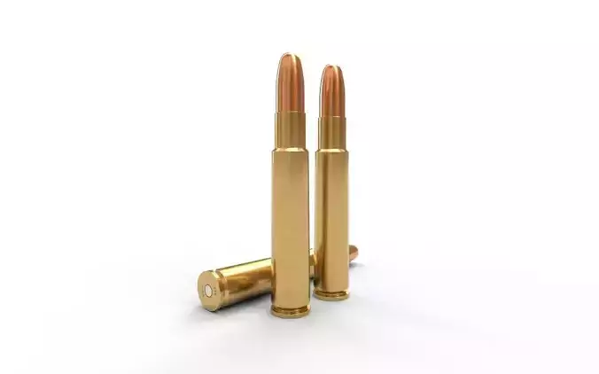 416 Rigby Ammo