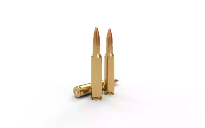 460 Steyr Ammo