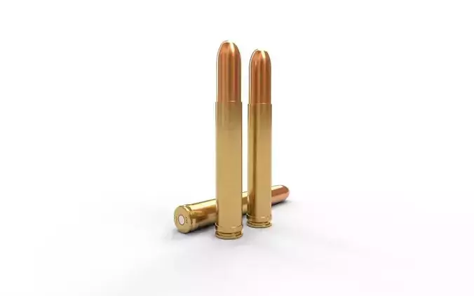 458 Lott Ammo