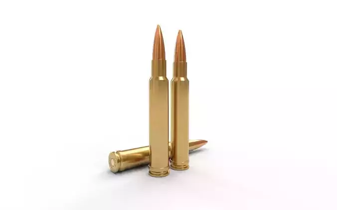 340 Weatherby Magnum Ammo