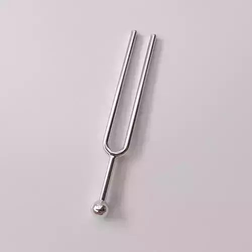 Tuning Fork 3D model