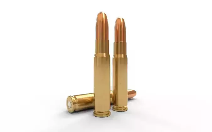  358 Winchester Ammo