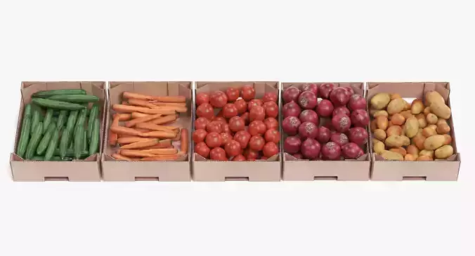 -Vegetable in Boxes-