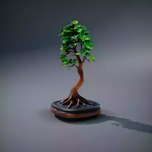 Elegant Bonsai Tree model pack