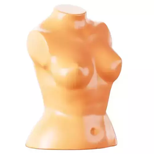 Female torso mannequin