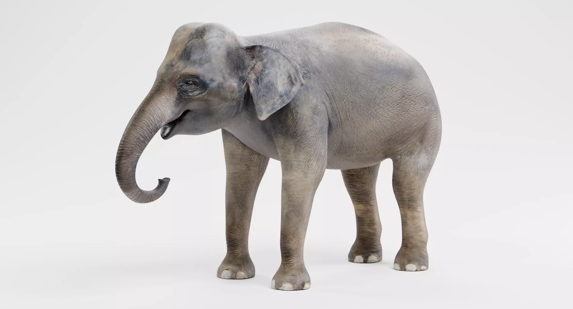 Asian Elephant Female - Realistic Wildlife Animal Low-poly 3D model
