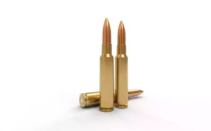 75x55mm Swiss Ammo