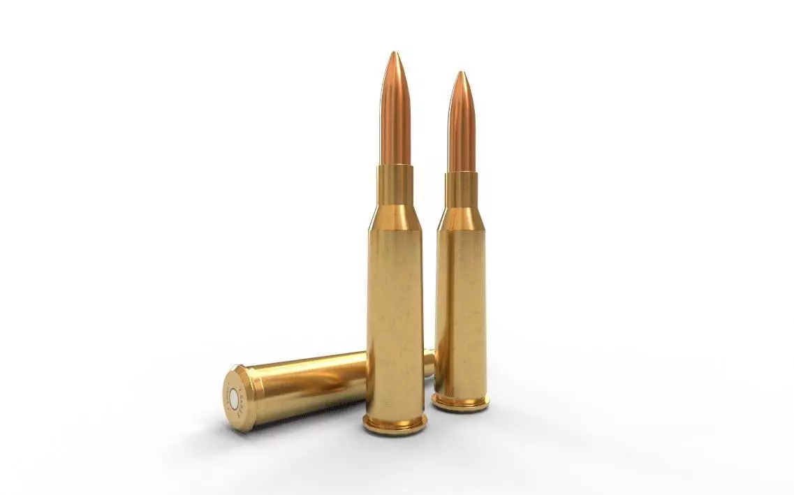 75x535mm Swiss Ammo Low-poly 3D model