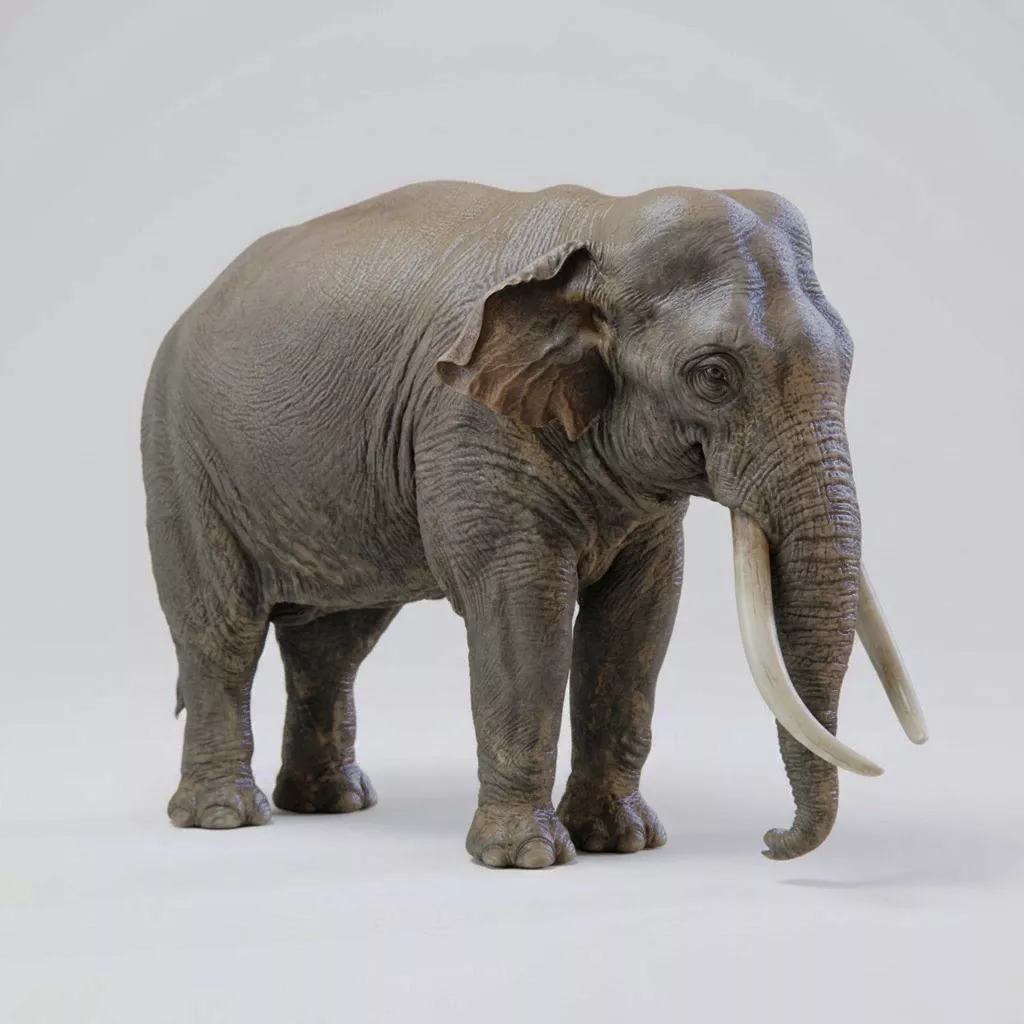 elephant 3D print model