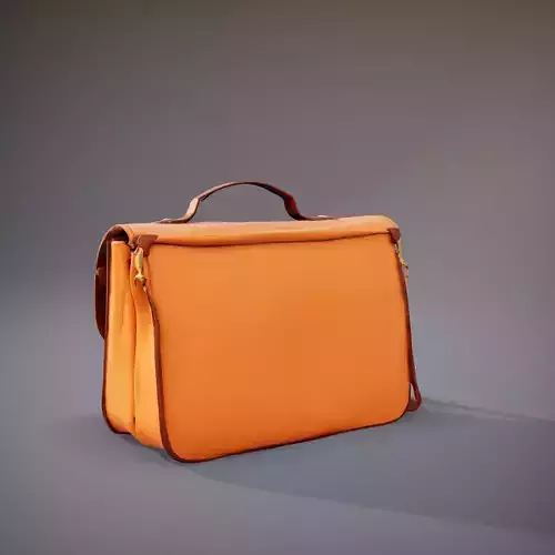 Elegant Leather Satchel model pack