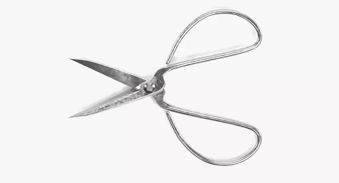 -Bonsai Scissors-