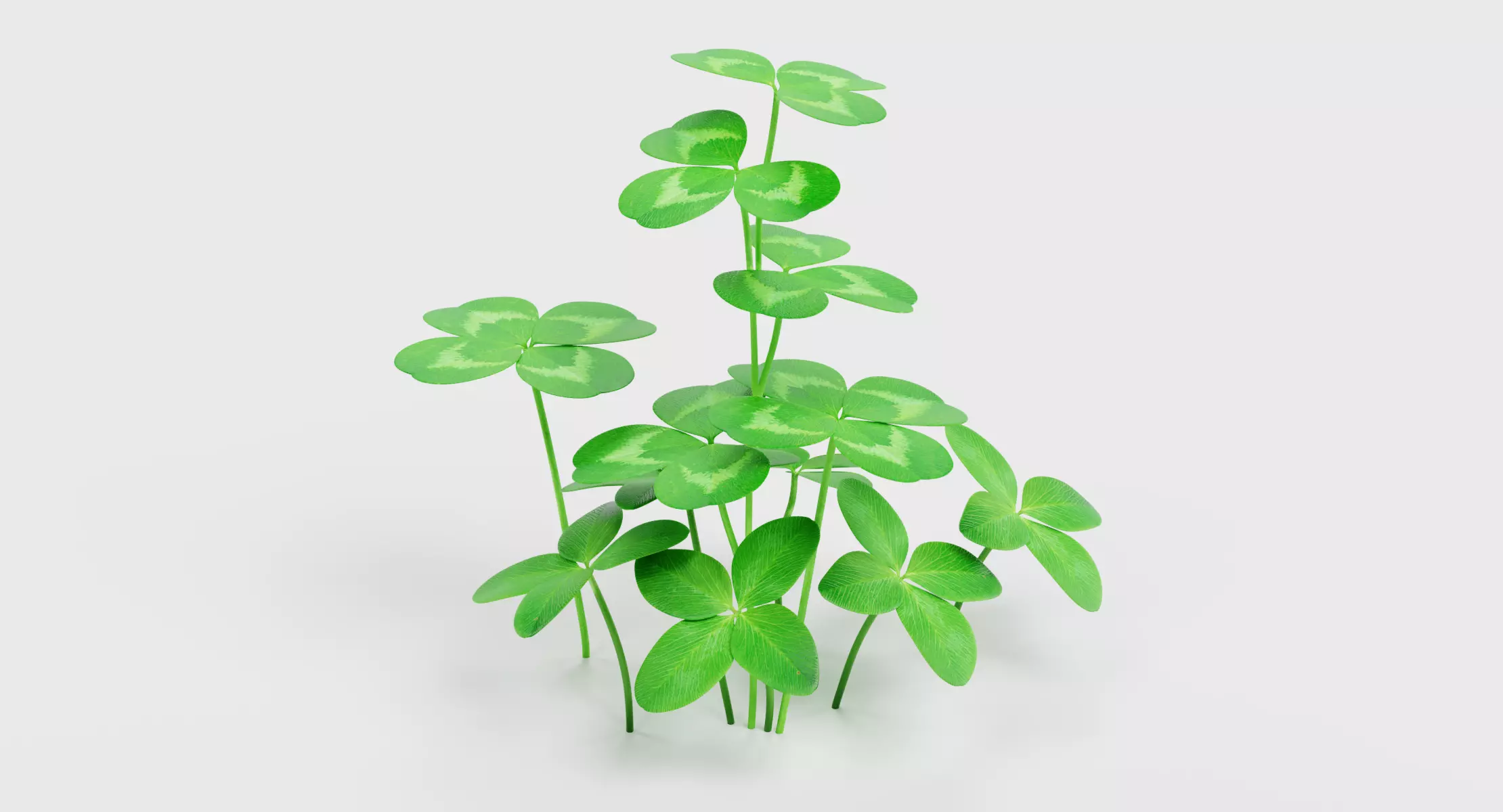 Clover - Mixed Leaf Trefoil Cluster 3D model