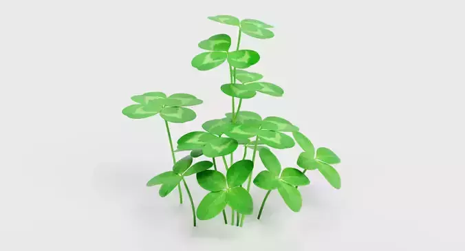 Clover - Mixed Leaf Trefoil Cluster
