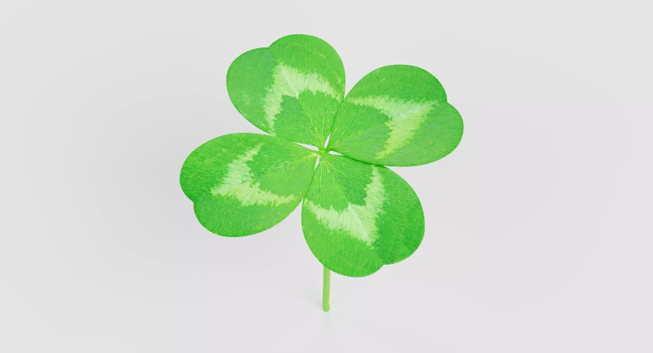 Clover V1 - Four-Leaf Trefoil Plant 3D model
