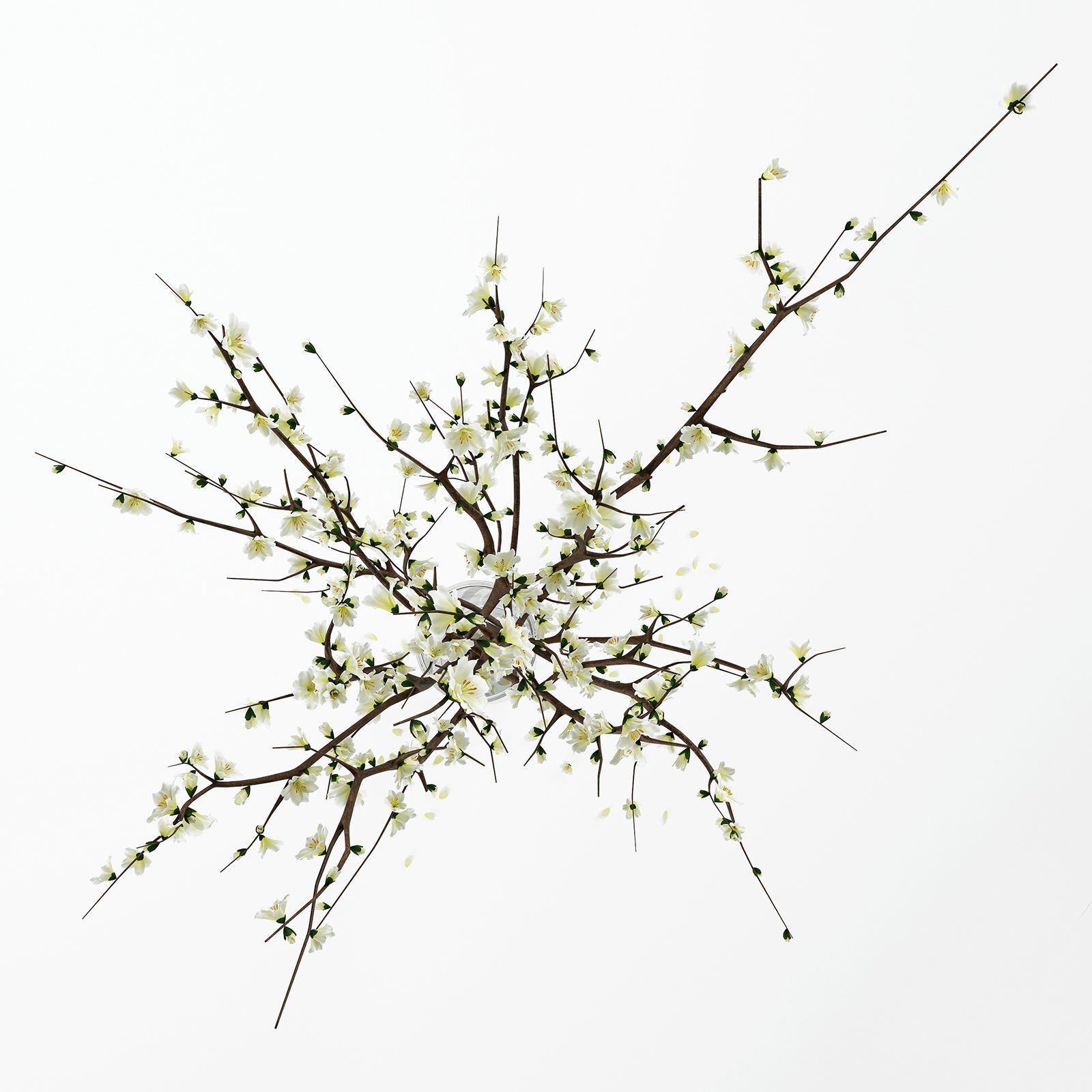 Branches in a vase 3D model_2