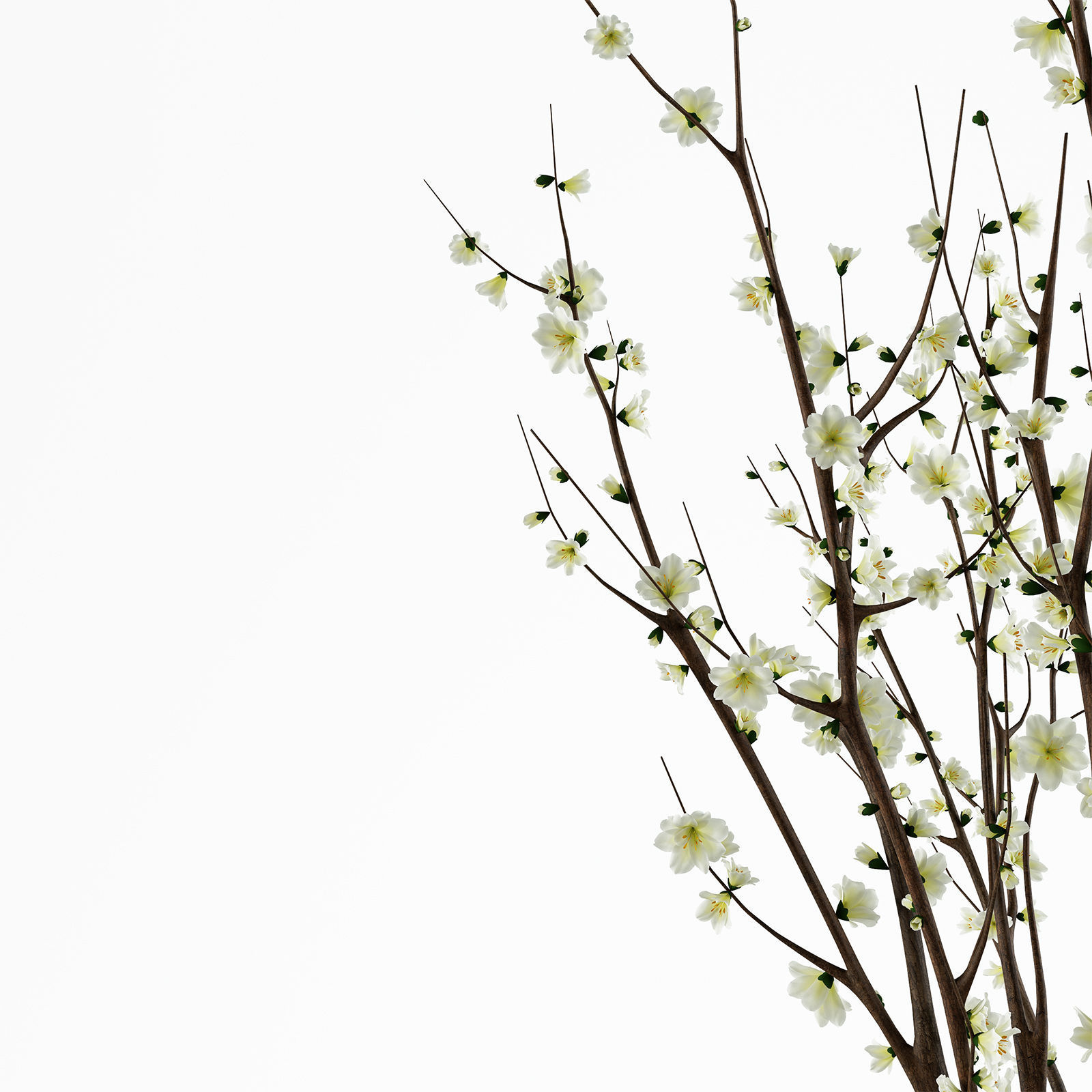 Branches in a vase 3D model_3